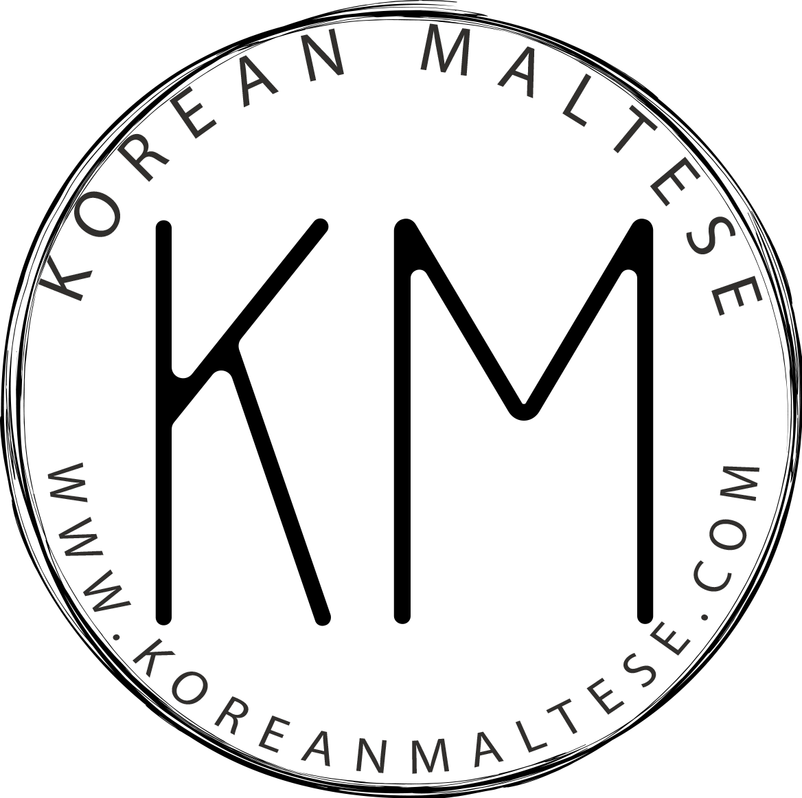 Korean Maltese